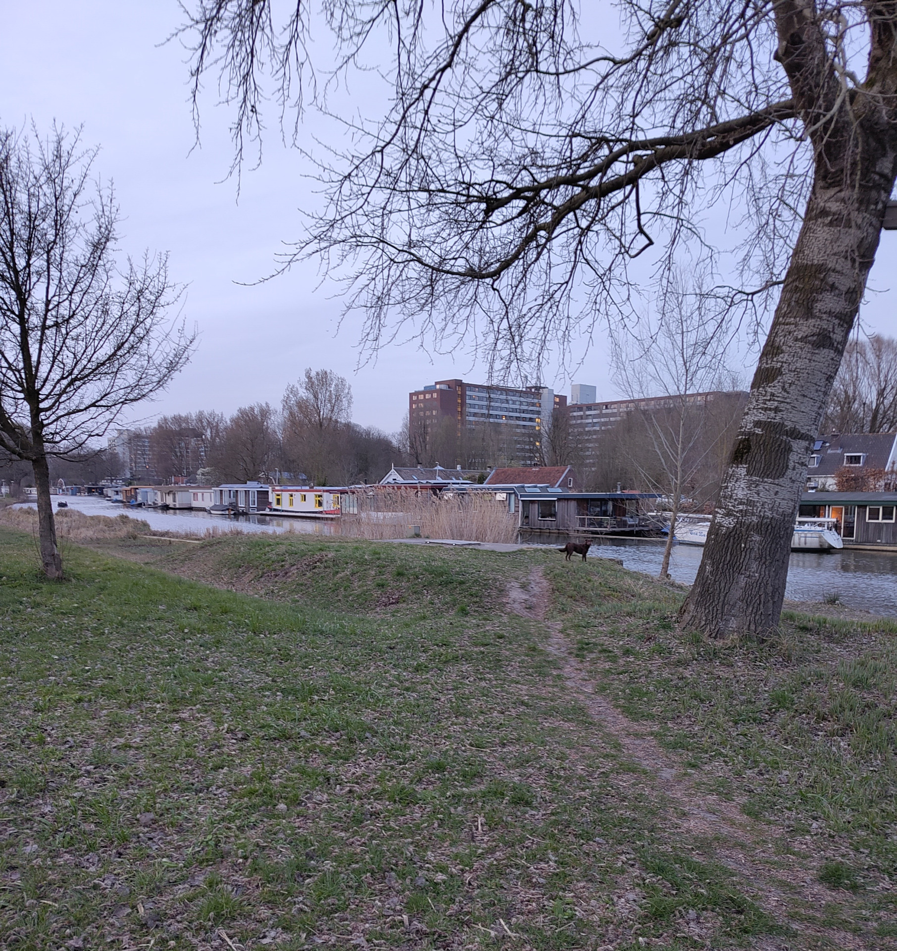 Plek v/d start in Vechtplantsoen