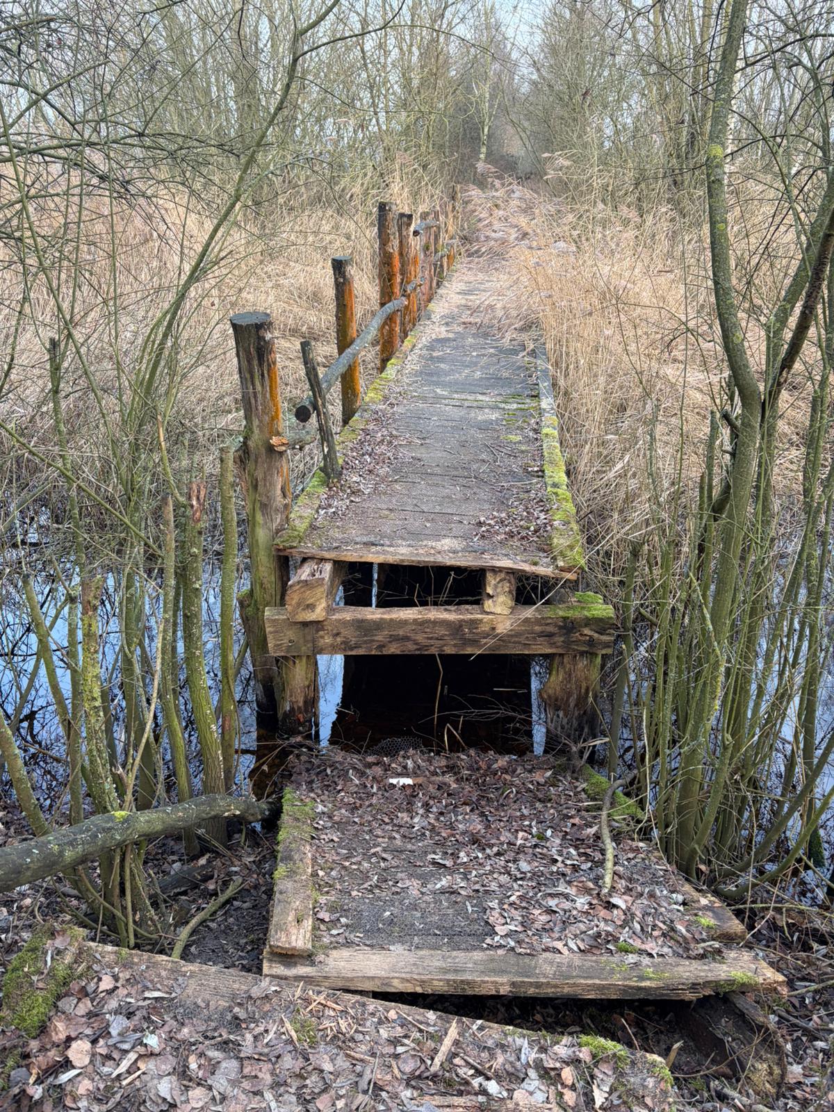 tja wel/niet verder op dit pad?